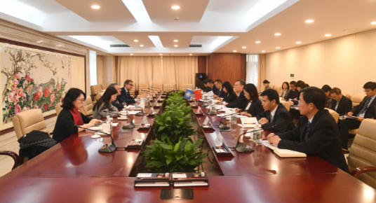 杨胜会见世界卫生组织监管和预认证司司长罗热里奥·加斯帕